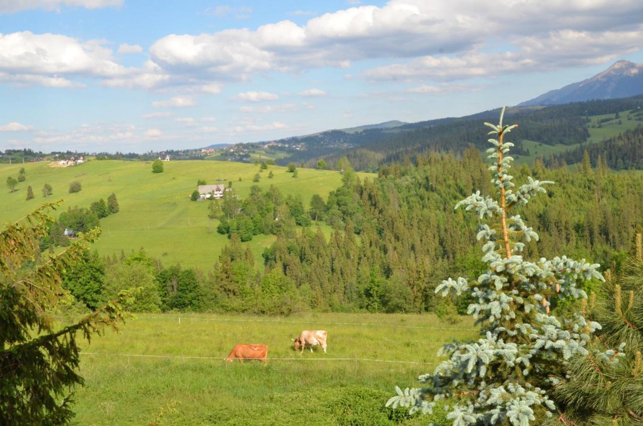 Sleboda Wynajem Pokoi Ewa Satola Biały Dunajec Exteriör bild